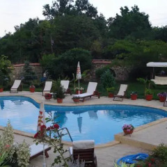 Hotel White Rose бассейн