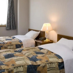 Shinseto Station Hotel 2* Стандартный номер фото 5