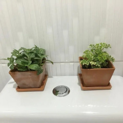 Отель Wanmai Herb Garden 3* Стандартный номер с 2 отдельными кроватями фото 7