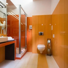 Centrum Dikul Hotel 3* Номер Делюкс с разными типами кроватей фото 2