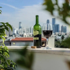 Отель Dizengoff Suites Тель-Авив бассейн