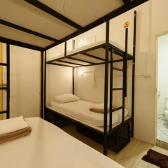 Warm White Hostel Стандартный номер с различными типами кроватей фото 2