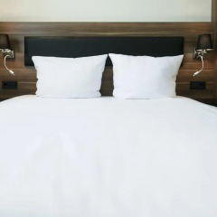 IBB Blue Hotel Adlershof Berlin-Airport 3* Стандартный номер с различными типами кроватей фото 6