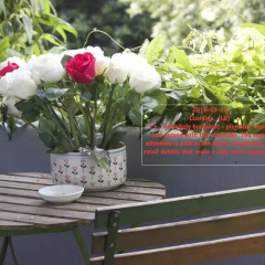 Отель B&B D&F Suites Brussels фото 4