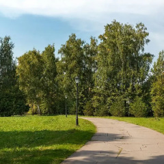 Гостиница Дачный Поселок Куркино в Москве 7 отзывов об отеле, цены и фото номеров - забронировать гостиницу Дачный Поселок Куркино онлайн Москва фото 5