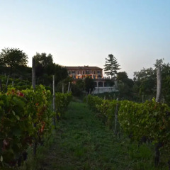 Отель Cascina San Michele Костиглиоле-д'Асти фото 2