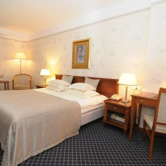 Hotel Zlatnik 4* Стандартный номер с различными типами кроватей фото 7
