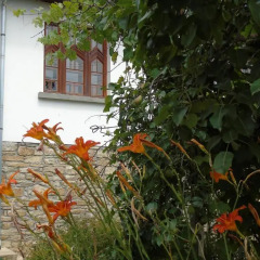 Отель BraBons Bed & Breakfast Болгария, Велико Тырново - отзывы, цены и фото номеров - забронировать отель BraBons Bed & Breakfast онлайн фото 5