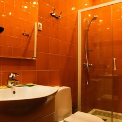 Мини-отель Краски 3* Номер Делюкс с разными типами кроватей фото 4