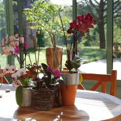 Отель Le Manoir Saint Clair Франция, Бальма - отзывы, цены и фото номеров - забронировать отель Le Manoir Saint Clair онлайн питание