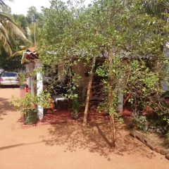 Отель Lake House Homestay парковка