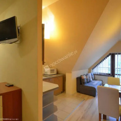 Отель Apartament Róża Pustyni Закопане в номере