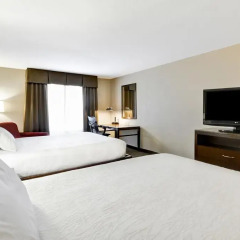 Отель Hilton Garden Inn Sarasota - Bradenton Airport 3* Стандартный номер с различными типами кроватей фото 3