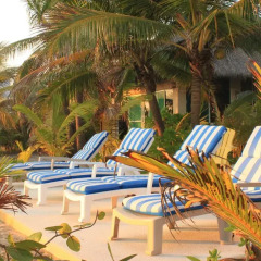 Отель Bungalows Tree Tops Мексика, Коакоюл - отзывы, цены и фото номеров - забронировать отель Bungalows Tree Tops онлайн бассейн фото 2