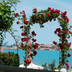 Aphrodite Beach Hotel пляж