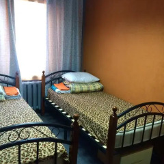 Hostel HostAl Irkutsk Стандартный номер с различными типами кроватей фото 4