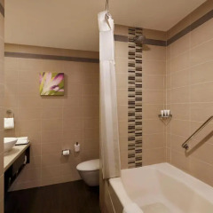 Отель Hilton Garden Inn New Delhi/Saket 4* Стандартный номер с различными типами кроватей