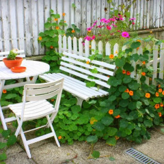 Отель Guest House Accueil chez BH Чехия, Прага - отзывы, цены и фото номеров - забронировать отель Guest House Accueil chez BH онлайн фото 2