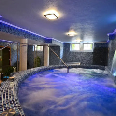 Отель Rajna VillaBridge & SPA Mini Hotel Венгрия, Силвашварад - отзывы, цены и фото номеров - забронировать отель Rajna VillaBridge & SPA Mini Hotel онлайн сауна