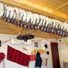 Отель Shishkovi Guesthouse Чепеларе развлечения