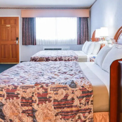 Отель Nob Hill Motor Inn 2* Стандартный номер с 2 отдельными кроватями фото 4