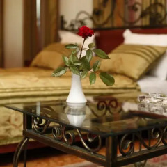 Бутик-отель Museum Inn 3* Представительский люкс с различными типами кроватей фото 3