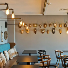 Urban Lodge Hotel развлечения