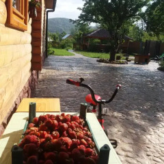 Гостиница Pid Zelyonym Dakhom Country House пляж фото 2