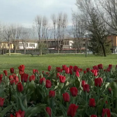 Otantik Club Hotel Турция, Бурса - отзывы, цены и фото номеров - забронировать отель Otantik Club Hotel онлайн фото 10