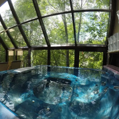 Отель Sunshine Chalet Польша, Закопане - отзывы, цены и фото номеров - забронировать отель Sunshine Chalet онлайн бассейн