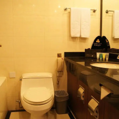 Capital Hotel 5* Люкс с различными типами кроватей фото 3