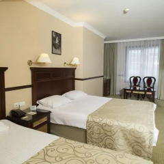 Topkapi Inter Istanbul Hotel 4* Стандартный номер с двуспальной кроватью фото 38