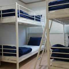 Seoul Forest Guesthouse - Hostel Кровать в женском общем номере с двухъярусной кроватью фото 7