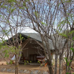 Отель Yala National Park Camping фото 16