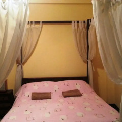 Отель Nickys Guesthouse спа