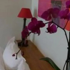 Отель Studios Floréal интерьер отеля