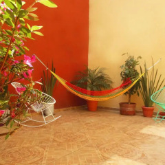 Отель Hostal Centro Historico Oasis Мехико фото 8
