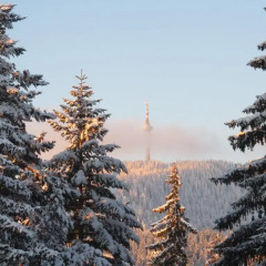 Отель Elina Hotel Болгария, Пампорово - отзывы, цены и фото номеров - забронировать отель Elina Hotel онлайн спортивное сооружение