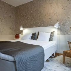 Hotel Birger Jarl 4* Стандартный номер с двуспальной кроватью фото 7