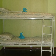 Na Liteynom Hostel Кровать в мужском общем номере с двухъярусной кроватью фото 2