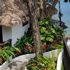 Отель Clear View Resort 3* Бунгало Делюкс с различными типами кроватей фото 21