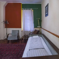 Antique Guest House and Hostel Стандартный номер с различными типами кроватей фото 13