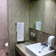 Отель Avan Plaza 3* Люкс фото 33