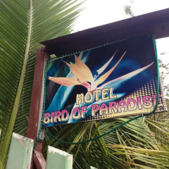 Отель Bird of Paradise Остров Утила бассейн
