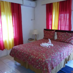 Executive Mammee Bay Hotel 3* Стандартный номер с различными типами кроватей фото 2