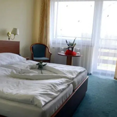 Hotel Pyramida Ii Франтишкови-Лазне комната для гостей фото 3