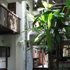 Отель Shoba Travellers Tree Home Stay фото 3