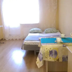 Апартаменты Lesnaya Apartment Студия фото 28