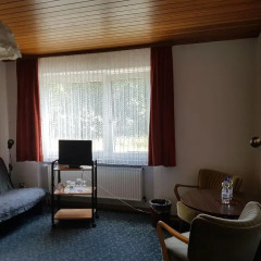 Hotel Zur Schanze 3* Стандартный номер с двуспальной кроватью фото 2