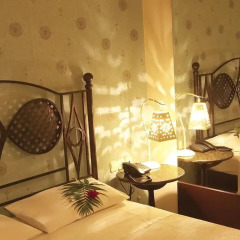Iris Hotel 2* Стандартный номер с различными типами кроватей фото 2
